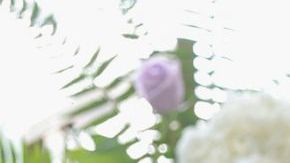 BEVERLY HILLS, CALIFORNIA - MARCH 01: Adrienne Bailon-Houghton attends DSW's Putting Your Best Foot Forward Panel at Waldorf Astoria Beverly Hills on March 01, 2023 in Beverly Hills, California. (Photo by Stefanie Keenan/Getty Images for DSW)