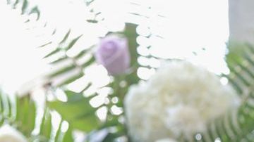 BEVERLY HILLS, CALIFORNIA - MARCH 01: Adrienne Bailon-Houghton attends DSW's Putting Your Best Foot Forward Panel at Waldorf Astoria Beverly Hills on March 01, 2023 in Beverly Hills, California. (Photo by Stefanie Keenan/Getty Images for DSW)