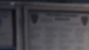 Andre Braugher and Melissa Fumero on Brooklyn Nine-Nine