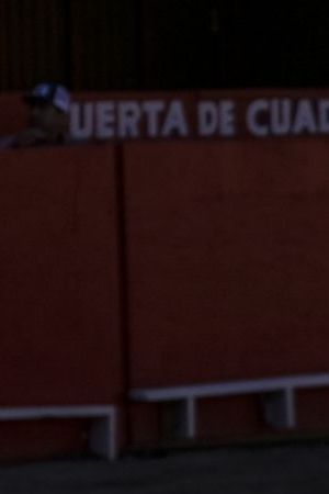 TIJUANA, MEXICO - MAY 07: A bullfighter performs at bullfighting inaugural event at the Nuevo Toreo de Tijuana, Mexico on May 07, 2023. Shifting cultural views that regard bullfighting as animal cruelty, increased wait times to cross the U.S.-Mexico border, and Tijuanaâs rising crime rate have all contributed to the decline of American interest in the sport. Mexico marked its 10 years since the first ban on bullfighting in a state, in northern Sonora, amid renewed debate over a similar measure in the Mexican capital and other states. (Photo by Carlos A. Moreno/Anadolu Agency via Getty Images)