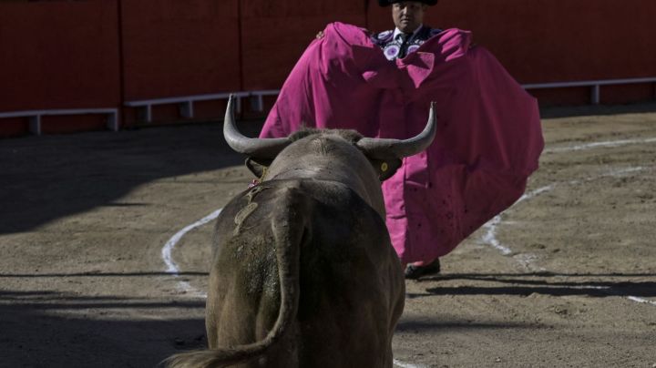 TIJUANA, MEXICO - MAY 07: A bullfighter performs at bullfighting inaugural event at the Nuevo Toreo de Tijuana, Mexico on May 07, 2023. Shifting cultural views that regard bullfighting as animal cruelty, increased wait times to cross the U.S.-Mexico border, and Tijuanaâs rising crime rate have all contributed to the decline of American interest in the sport. Mexico marked its 10 years since the first ban on bullfighting in a state, in northern Sonora, amid renewed debate over a similar measure in the Mexican capital and other states. (Photo by Carlos A. Moreno/Anadolu Agency via Getty Images)
