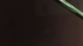 Peso Pluma_Viña del Mar