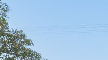 ANAHEIM, CA - DECEMBER 03: General views of the Walt Disney 'Partners' statue at Disneyland on December 03, 2022 in Anaheim, California. (Photo by AaronP/Bauer-Griffin/GC Images)