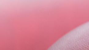 02 November 2023, Hesse, Frankfurt/Main: American football ; NFL, Before the season game Kansas City Chiefs vs. Miami Dolphins in Frankfurt: Balls with NFL logo Photo: Jürgen Kessler/dpa (Photo by Jürgen Kessler/picture alliance via Getty Images)