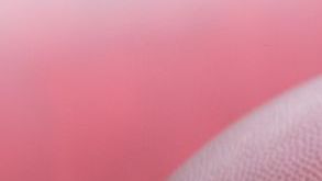 02 November 2023, Hesse, Frankfurt/Main: American football ; NFL, Before the season game Kansas City Chiefs vs. Miami Dolphins in Frankfurt: Balls with NFL logo Photo: Jürgen Kessler/dpa (Photo by Jürgen Kessler/picture alliance via Getty Images)