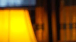 George Santos during Ziwe interview