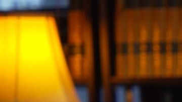 George Santos during Ziwe interview