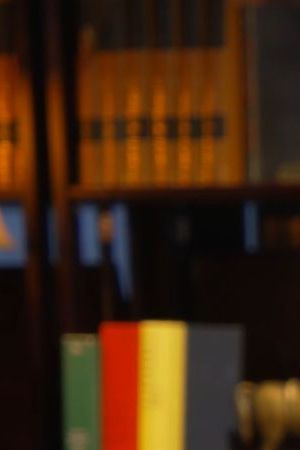 George Santos during Ziwe interview