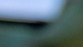 peruvian ceviche seafood fish