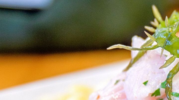 peruvian ceviche seafood fish