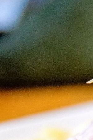 peruvian ceviche seafood fish