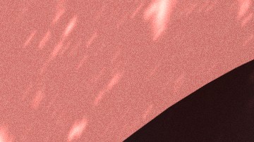 carla morrison-ally brooke_Festive