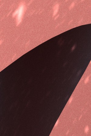 carla morrison-ally brooke_Festive