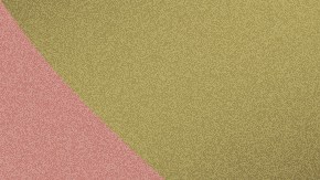 Homemade with Love conchas