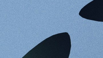 Art by Stephany Torres for Remezcla