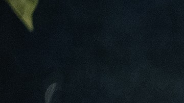 Photo by FG Trade / Getty Images