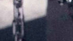 Don Omar_Back to Reggaeton_Feud