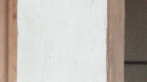 Marshmello & Fuerza Regida