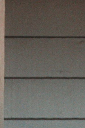 Marshmello & Fuerza Regida