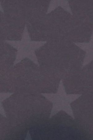 SANTA MONICA, CALIFORNIA - JANUARY 14: Colman Domingo attends the 29th Annual Critics Choice Awards at Barker Hangar on January 14, 2024 in Santa Monica, California. (Photo by Kevin Winter/Getty Images for Critics Choice Association)