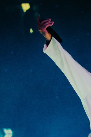 Data_Bad Bunny_Tainy