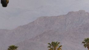 Festivalgoers at the 2023 Coachella Valley Music & Arts Festival on April 16, 2023 in Indio, California. (Photo by Christopher Polk/Variety via Getty Images)