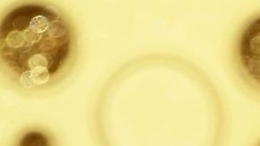 LOS ANGELES, CALIFORNIA - SEPTEMBER 22: Kelly Osbourne attends the 71st Emmy Awards at Microsoft Theater on September 22, 2019 in Los Angeles, California. (Photo by Frazer Harrison/Getty Images)