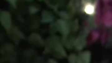 Marcello Hernández on SNL