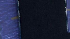 WEST HOLLYWOOD, CALIFORNIA - JANUARY 15: (L-R) Pedro Pascal and Lux Pascal attend the HBO & Max Post Emmys Reception at San Vicente Bungalows on January 15, 2024 in West Hollywood, California. (Photo by FilmMagic.com/FilmMagic for HBO & Max )