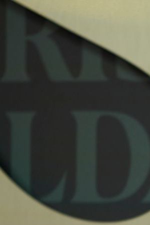 MADRID, SPAIN - JANUARY 09: Sofía Vergara attends the 'Griselda' premiere at the Callao Cinema on January 09, 2024 in Madrid, Spain. (Photo by Carlos Alvarez/WireImage)