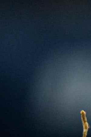 TORONTO, ON - SEPTEMBER 26: Toronto Blue Jays First base Vladimir Guerrero Jr. (27) smiles during the MLB baseball regular season game between the Tampa Bay Rays and the Toronto Blue Jays on September 29, 2023, at Rogers Centre in Toronto, ON, Canada. (Photo by Julian Avram/Icon Sportswire via Getty Images)