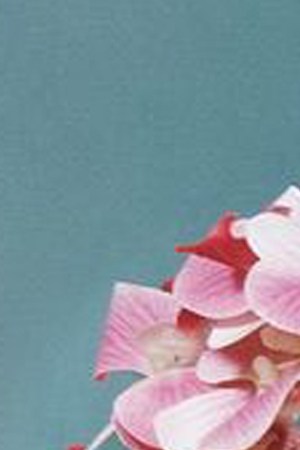 Kali Uchis_Orquídeas