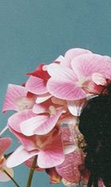 Kali Uchis_Orquídeas