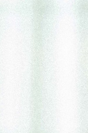 MAABELLE_'Etiqueta Negra'