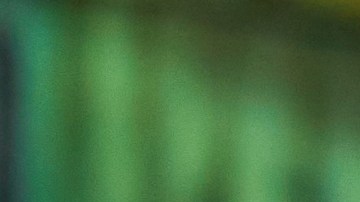 Prince Royce_Gabito Ballesteros