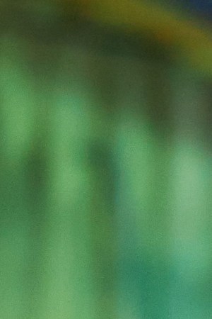 Prince Royce_Gabito Ballesteros