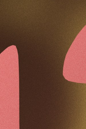 Coachella 2024_shakira-snow the product