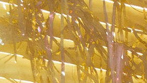 Photo courtesy of April Nicole.