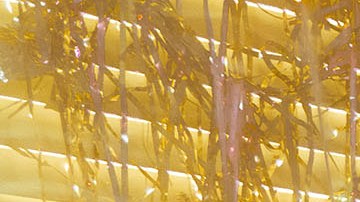 Photo courtesy of April Nicole.