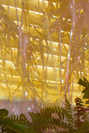 Photo courtesy of April Nicole.