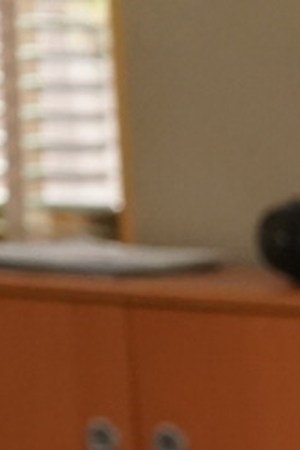 ABBOTT ELEMENTARY – “Career Day Part 1/Career Day Part 2” It’s a new year at Abbott Elementary, and Janine is as eager as ever. She plans a district-wide initiative – Career Day – and is anxious for it to be a success. Meanwhile, Ava has a new approach to her job, and Melissa is asked a surprising question. WEDNESDAY, FEB. 7 (9:00-10:02 p.m. EST), on ABC. (Disney/Gilles Mingasson) JOSH SEGARRA, QUINTA BRUNSON