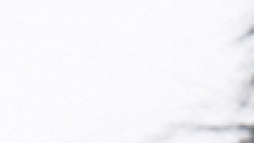 FY24_MACximal_ICC_TalentBeautyWhirl_300dpi_NoLogo[67] (1)