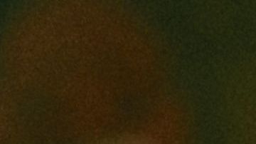 Griselda. Sofia Vergara as Griselda in episode 104 of Griselda. Cr. Courtesy of Netflix © 2023