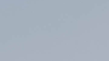 Hurray for the Riff Raff