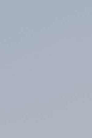 Hurray for the Riff Raff