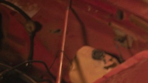 Belinda_'Cactus'_Eclipse Solar