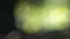 Jenna Ortega in Miller's Girl