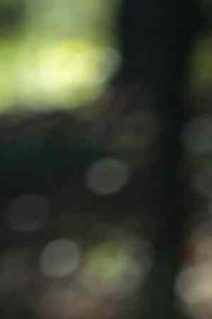 Jenna Ortega in Miller's Girl