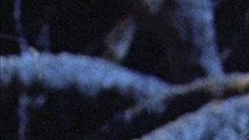 Michael Keaton in Beetlejuice