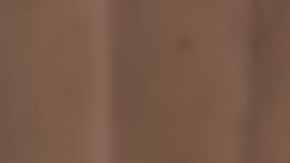 Pedro Pascal and Gina Carano The Mandalorian